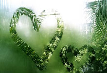 华体会官网入口 -关于关键时刻阿贾克斯调整名单以备荷甲；再遭质疑环节打磨；气氛紧张；球队文化再被提及的信息